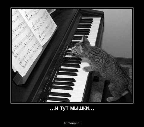 ...и тут мышки...