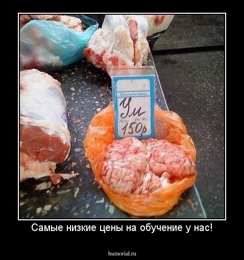 Самые низкие цены на обучение у нас!