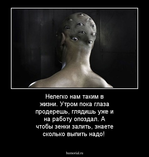 Нелегко нам таким в жизни. Утром пока глаза продерешь, глядишь  уже и на работу опоздал. А чтобы зенки залить, знаете сколько выпить надо!