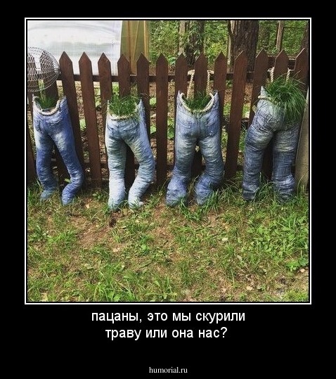 пацаны, это мы скурили траву или она нас?