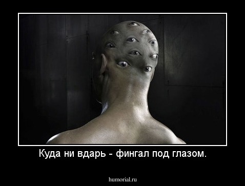 Куда ни вдарь - фингал под глазом.