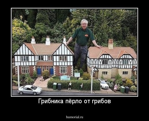 Грибника пёрло от грибов