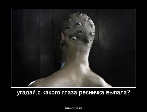 угадай,с какого глаза ресничка выпала?