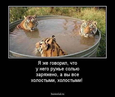 Я же говорил, что у него ружье солью заряжено, а вы все холостыми, холостыми!