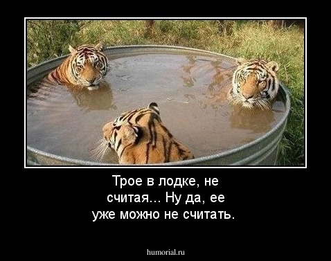Трое в лодке, не считая... Ну да, ее уже можно не считать. 