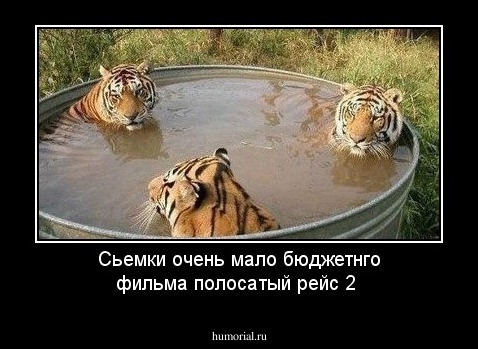 Сьемки очень мало бюджетнго фильма полосатый рейс 2