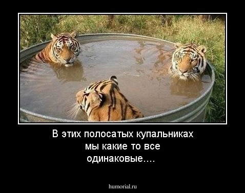 В этих полосатых купальниках мы какие то все одинаковые....