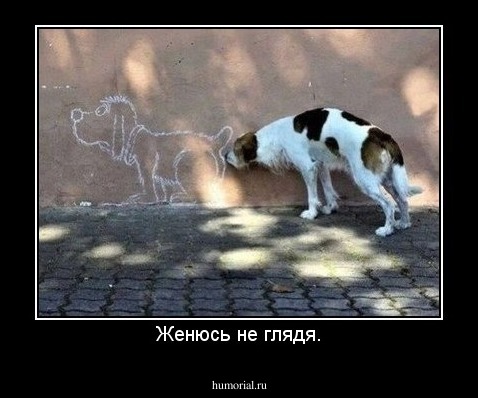 Женюсь не глядя.