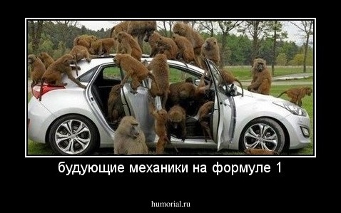 будующие механики на формуле 1