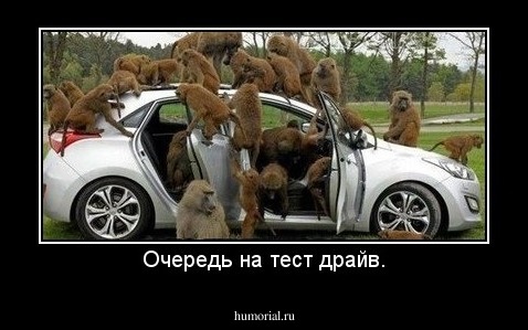 Очередь на тест драйв.