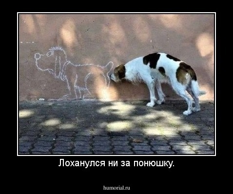 Лоханулся ни за понюшку.