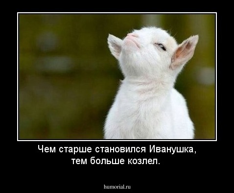 Чем старше становился Иванушка, тем больше козлел.