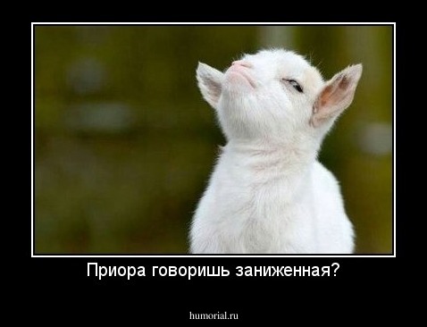 Приора говоришь заниженная?