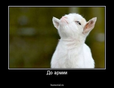 До армии