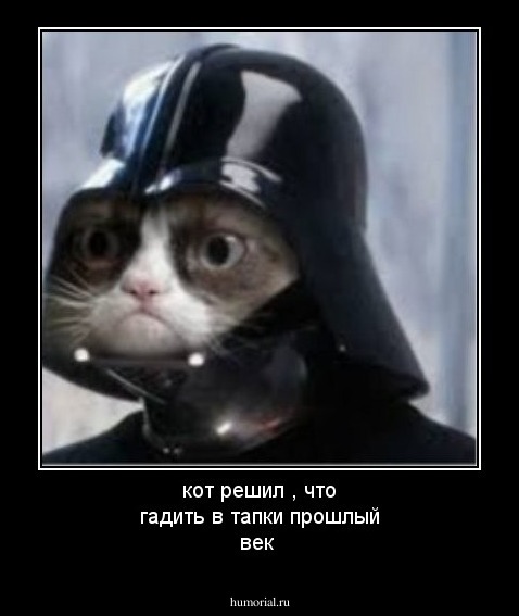 кот решил , что гадить в тапки прошлый век