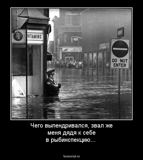 Чего выпендривался, звал же меня дядя к себе в рыбинспекцию...