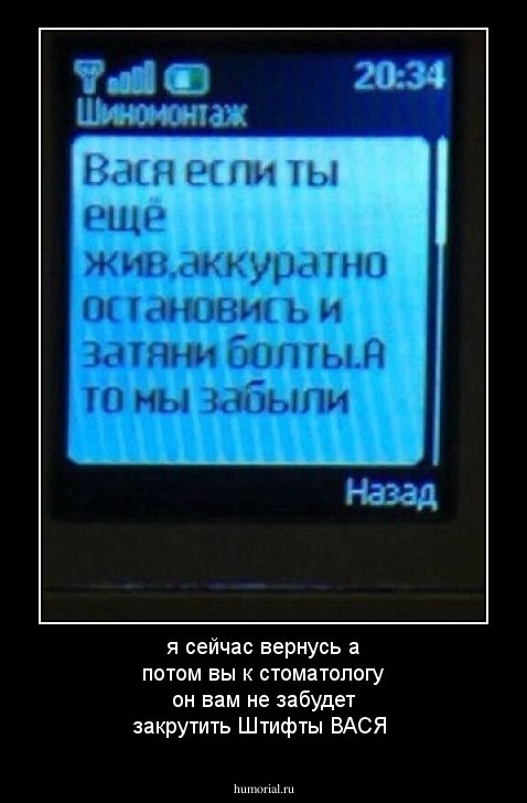 я сейчас вернусь а потом вы к стоматологу он вам не забудет закрутить Штифты   ВАСЯ 