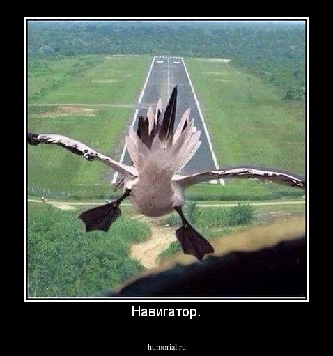 Навигатор.