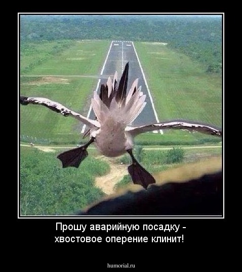 Прошу аварийную посадку - хвостовое оперение клинит!