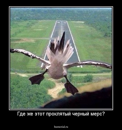 Где же этот проклятый черный мерс?