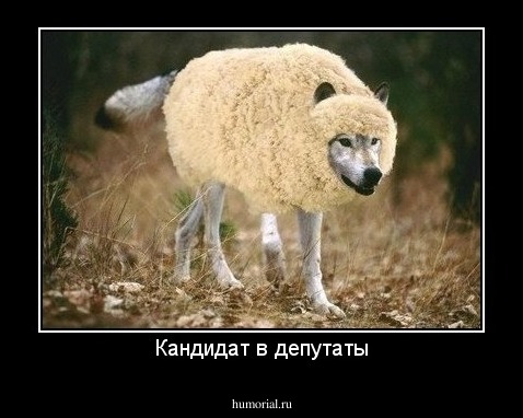 Кандидат в депутаты