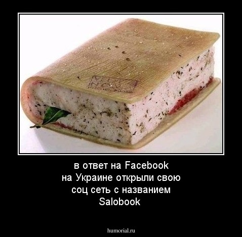 в ответ на Facebook на Украине открыли свою соц сеть с названием Salobook 