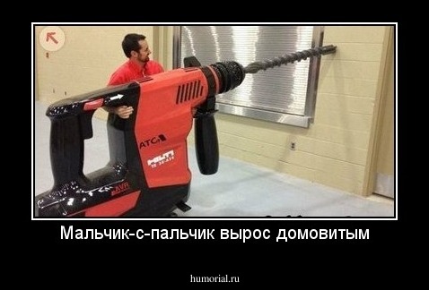 Мальчик-с-пальчик вырос домовитым