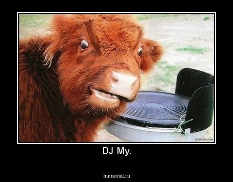 DJ Му.