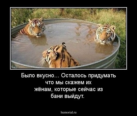 Было вкусно... Осталось придумать что мы скажем их жёнам, которые сейчас из бани выйдут.