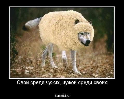 Свой среди чужих, чужой среди своих