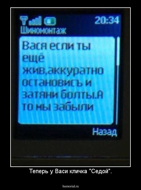 Теперь у Васи кличка "Седой".