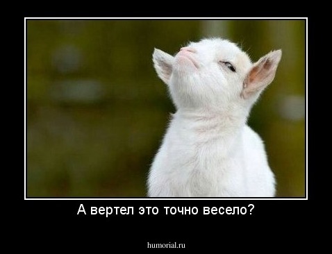 А вертел это точно весело?