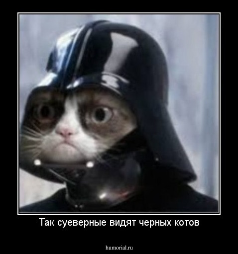 Так суеверные видят черных котов
