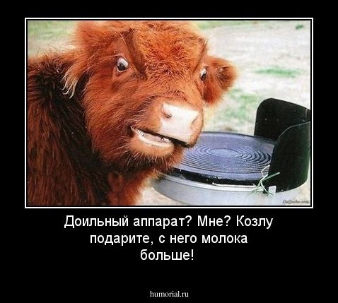Доильный аппарат? Мне? Козлу подарите, с него молока больше!