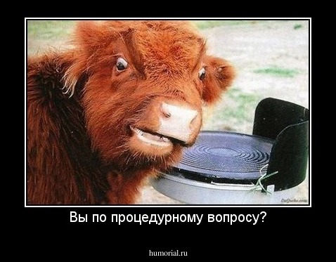 Вы по процедурному вопросу?