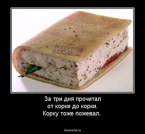 За три дня прочитал от корки до корки. Корку тоже пожевал.