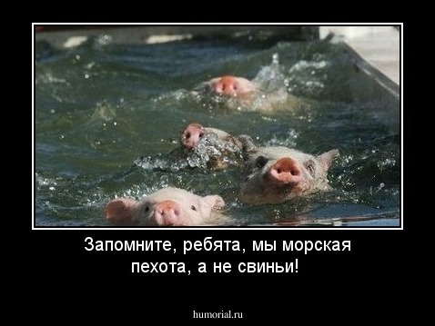Запомните, ребята, мы морская пехота, а не свиньи!