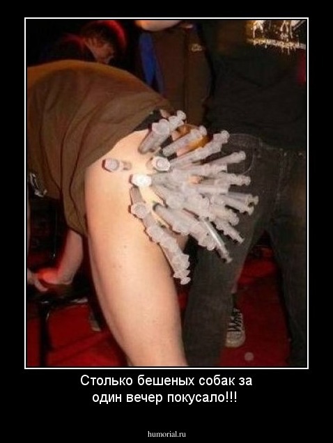 Столько бешеных собак за один вечер покусало!!!