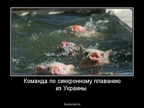 Команда по синхронному плаванию из Украины