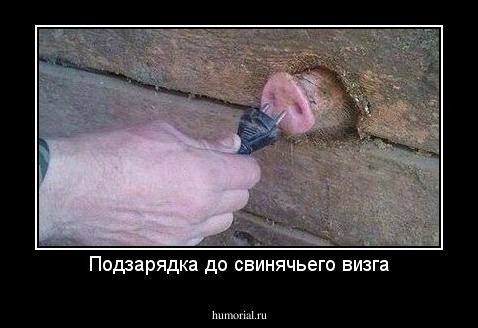 Подзарядка до свинячьего визга