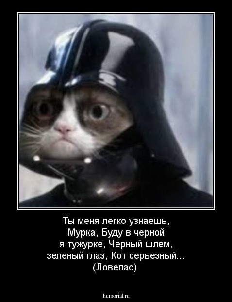 Ты меня легко узнаешь, Мурка,
Буду в черной я тужурке,
Черный шлем, зеленый глаз,
Кот серьезный...
                                          (Ловелас)
