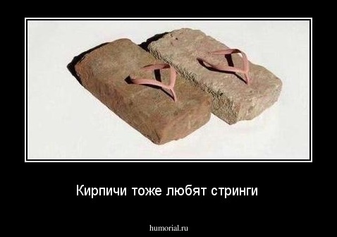 
Кирпичи тоже любят стринги 