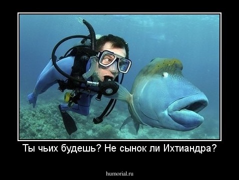 Ты чьих будешь? Не сынок ли Ихтиандра?