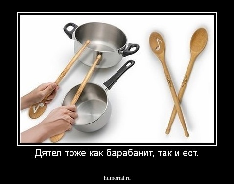 Дятел тоже как барабанит, так и ест.