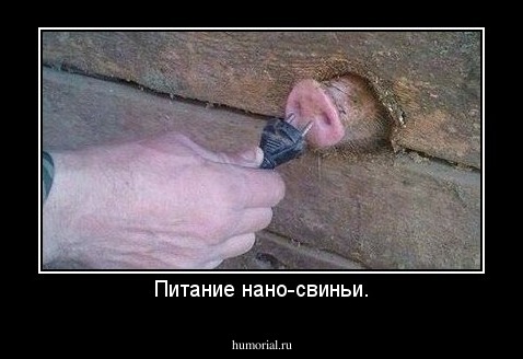 Питание нано-свиньи.