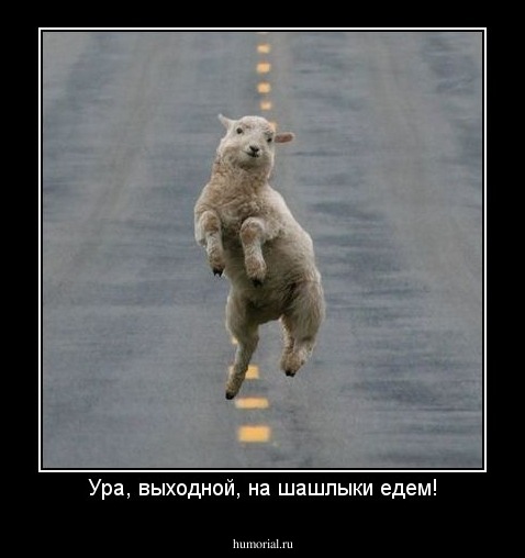 Ура, выходной, на шашлыки едем!
