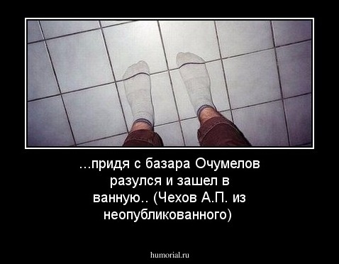 ...придя с базара Очумелов разулся и зашел в ванную.. (Чехов А.П. из неопубликованного)