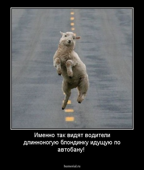 Именно так видят водители длинноногую блондинку идущую по автобану!