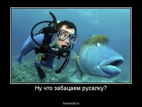 Ну что забацаем русалку?