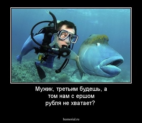Мужик, третьим будешь, а том нам с ершом рубля не хватает?